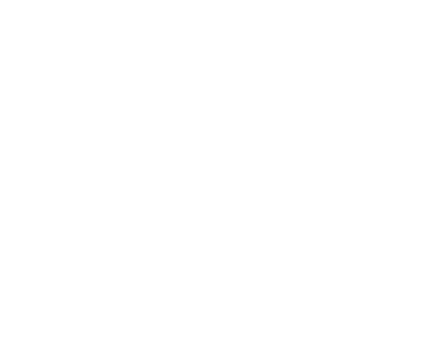 Travel Now Madeira